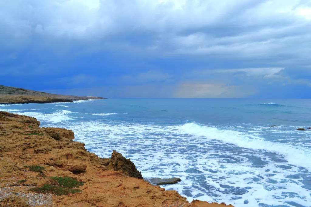 Occupied Cyprus Whale