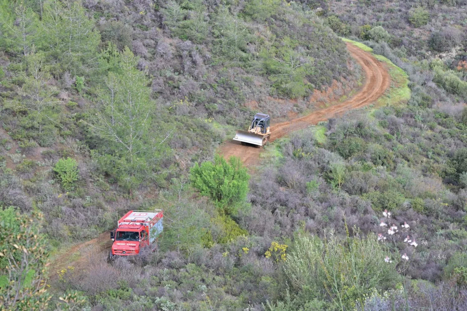Cyprus Overhauls Wildfire Response After Last Year's Deadly Limassol Blaze