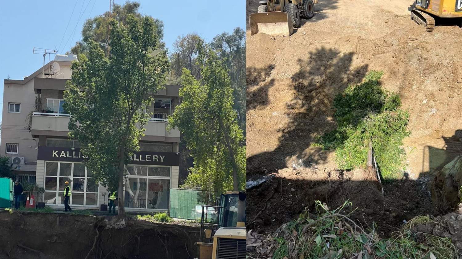 Ecologists Demand Halt To Nicosia Construction Site Over Illegal Tree Felling