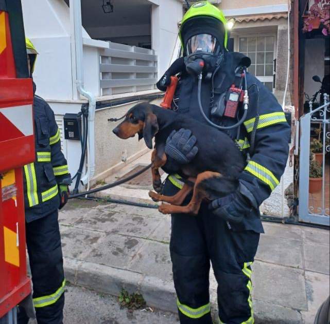 Strovolos Fire