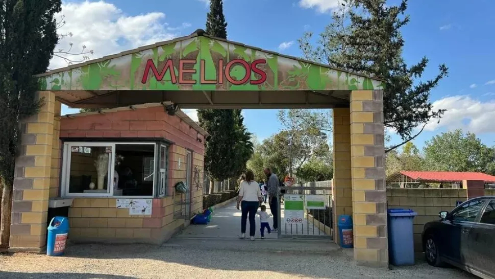 What Happens To The Animals Now Two Parties Respond To The Melios Zoo Closure