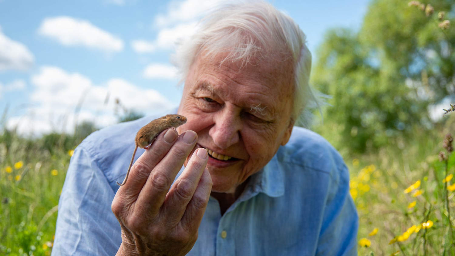 David Attenborough Turns 100 Bbc Colleagues Pay Tribute To A Broadcasting Legend