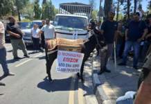 Farmers Protest Nicosia Donkey