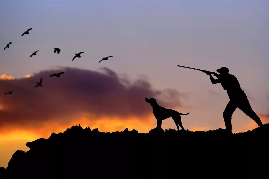 Hunting Licence Fees To Rise Sharply Under Ministry Of Interior Bill