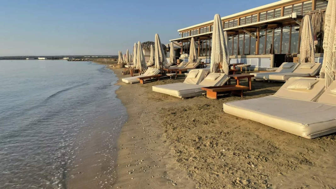 Lady's Mile Turtle Protection A 'disgrace', Terra Cypria Says, Accusing British Bases
