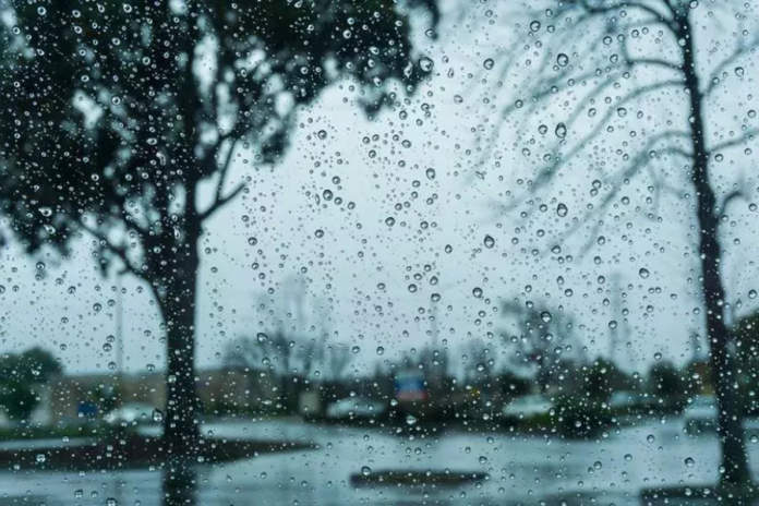 Isolated Storms Expected As Temperatures Reach 35 Degrees