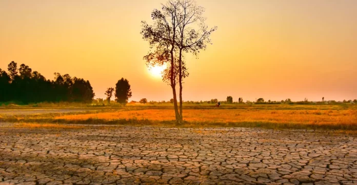 Un Sounds Alarm Over High Intensity El Niño Phenomenon Affecting Global Weather