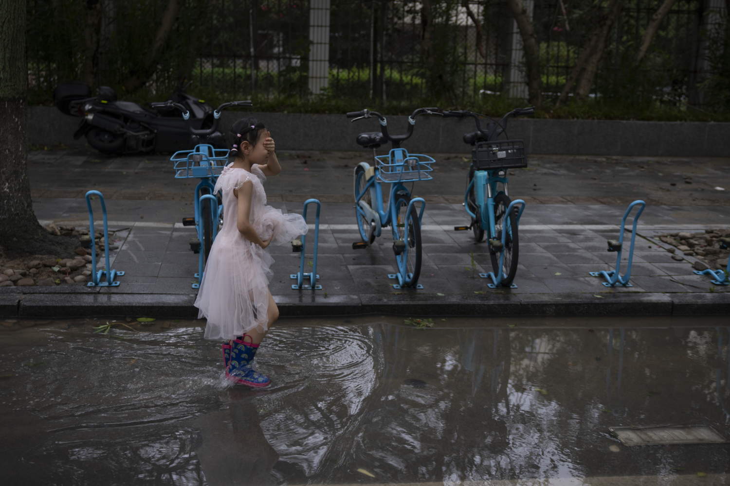 Typhoon Bavi Hits China