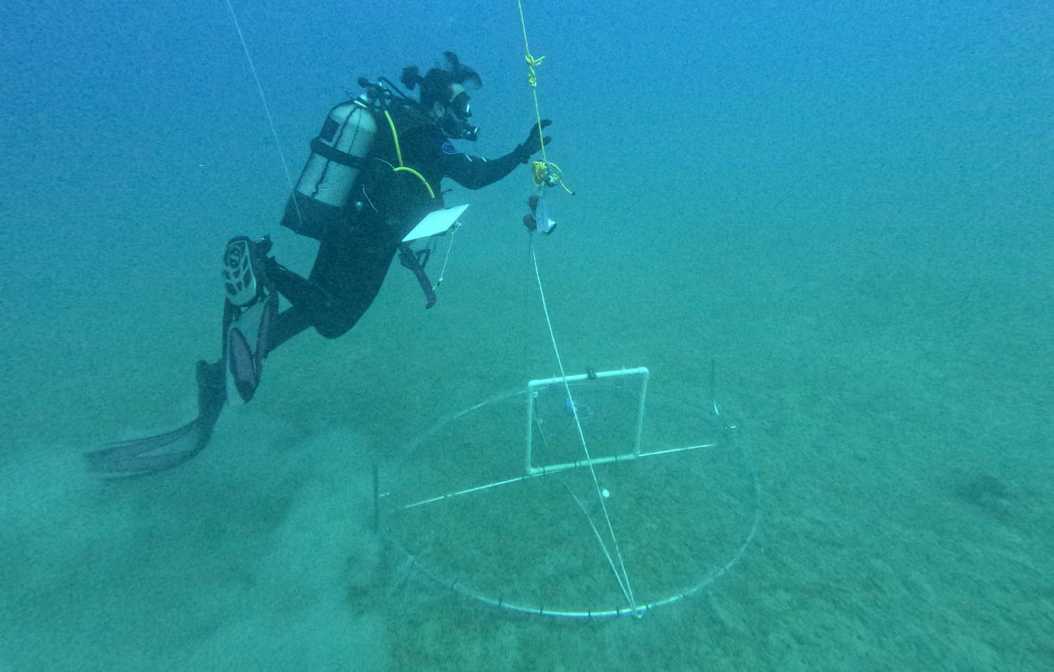 Ikaros Savva, A Marine Biologist At The Marine And Environmental Research Lab, Dives To Check A Trap For Lionfish Near The Coastal City Of Limassol