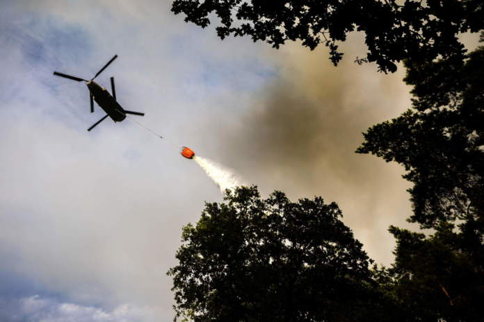 Wildfire Breaks Out In Rosmolen Nature Reserve In Northern Limburg