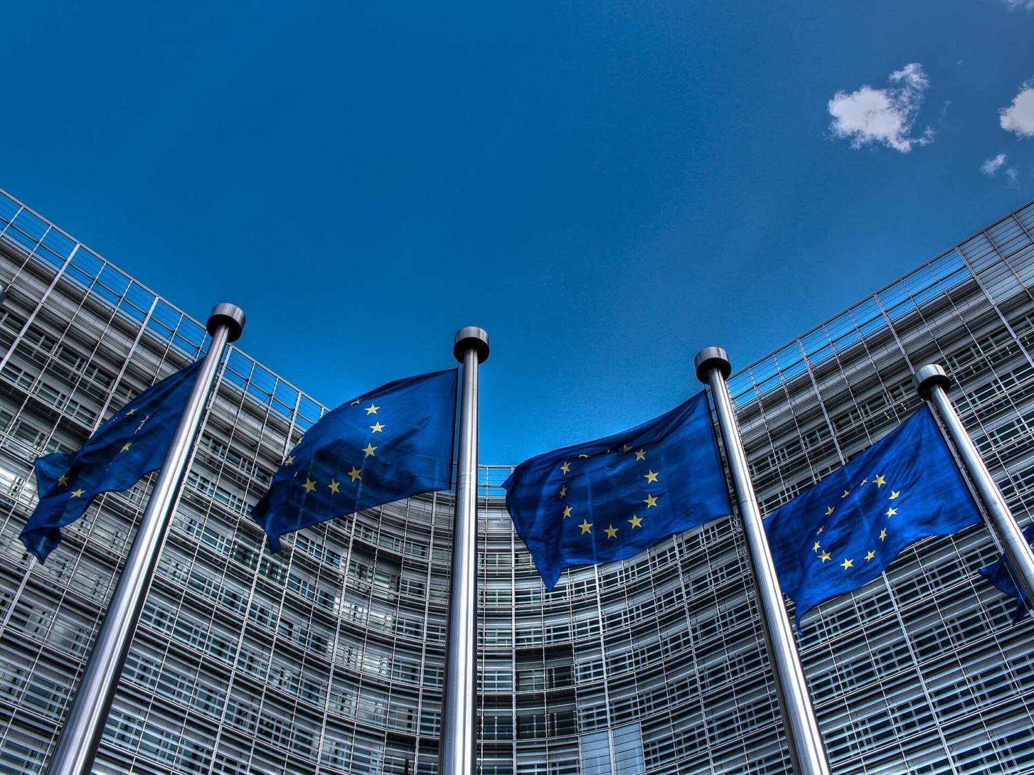 European Union Flags 2