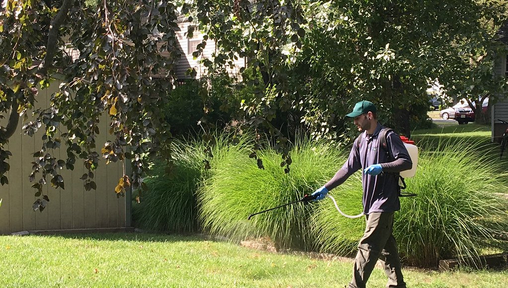 Cyprus sees increased mosquito populations as climate crisis set to worsen problem, expert warns