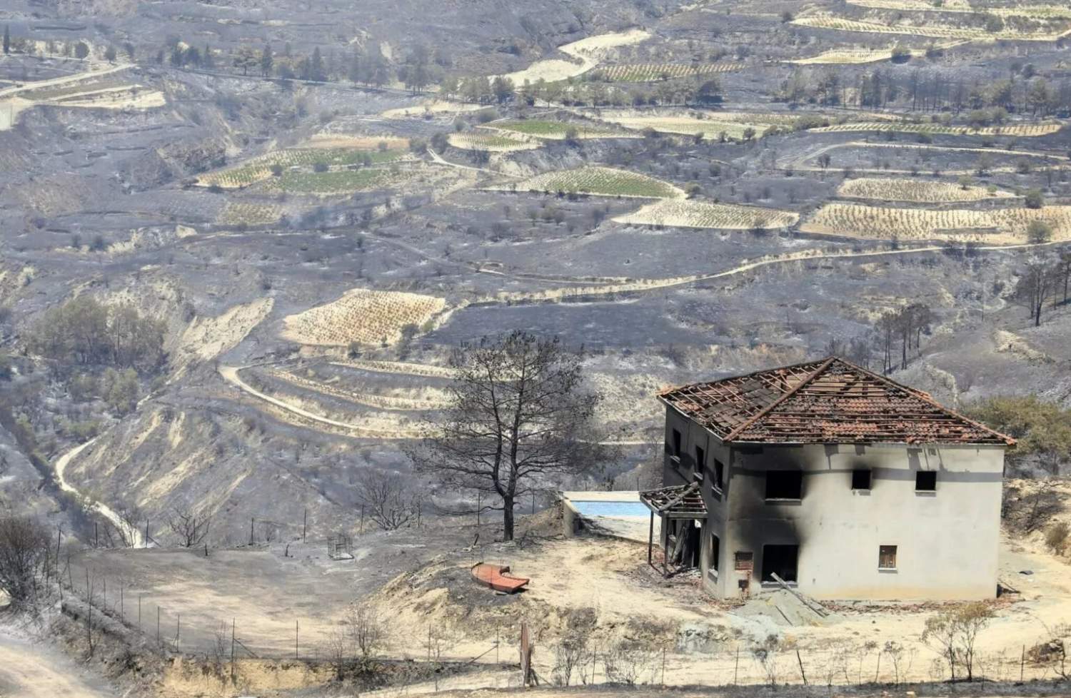 Almost Four In Ten Deadly Limassol Wildfire Claims Rejected, Minister Says