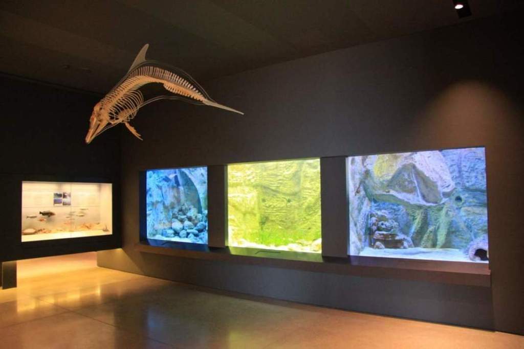 Thalassa Museum 2048x1365 1