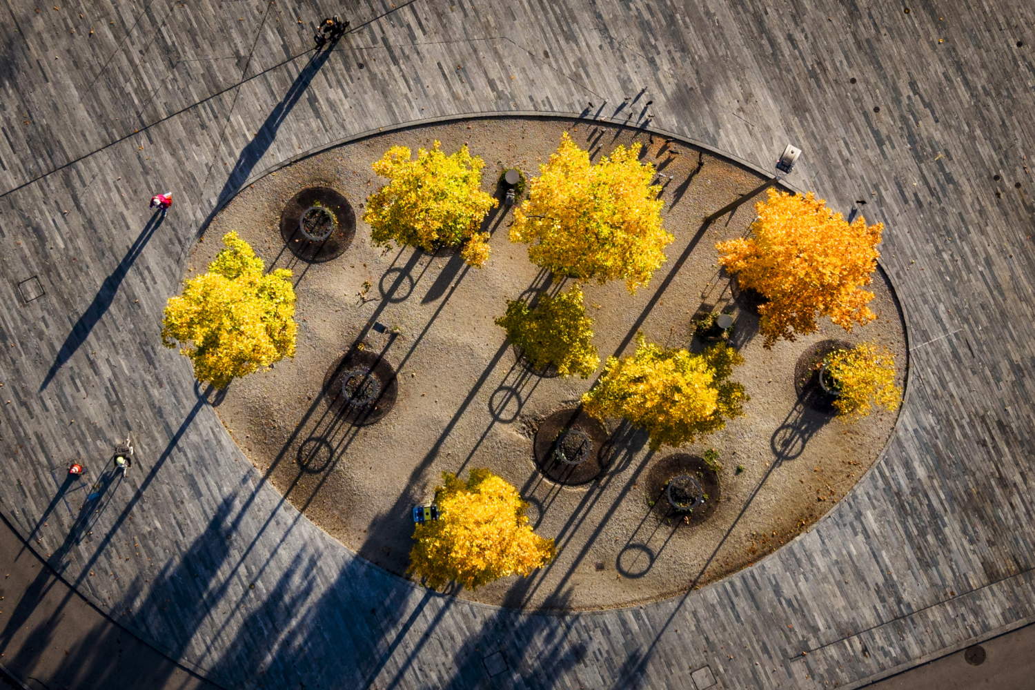 Autumn Colors Brighten Zurich's Sechselaeutensquare