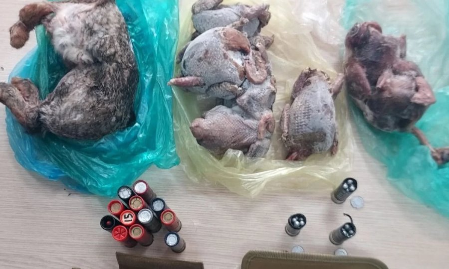 Dead Hare And Plucked Birds Found In Paphos Poaching Raids