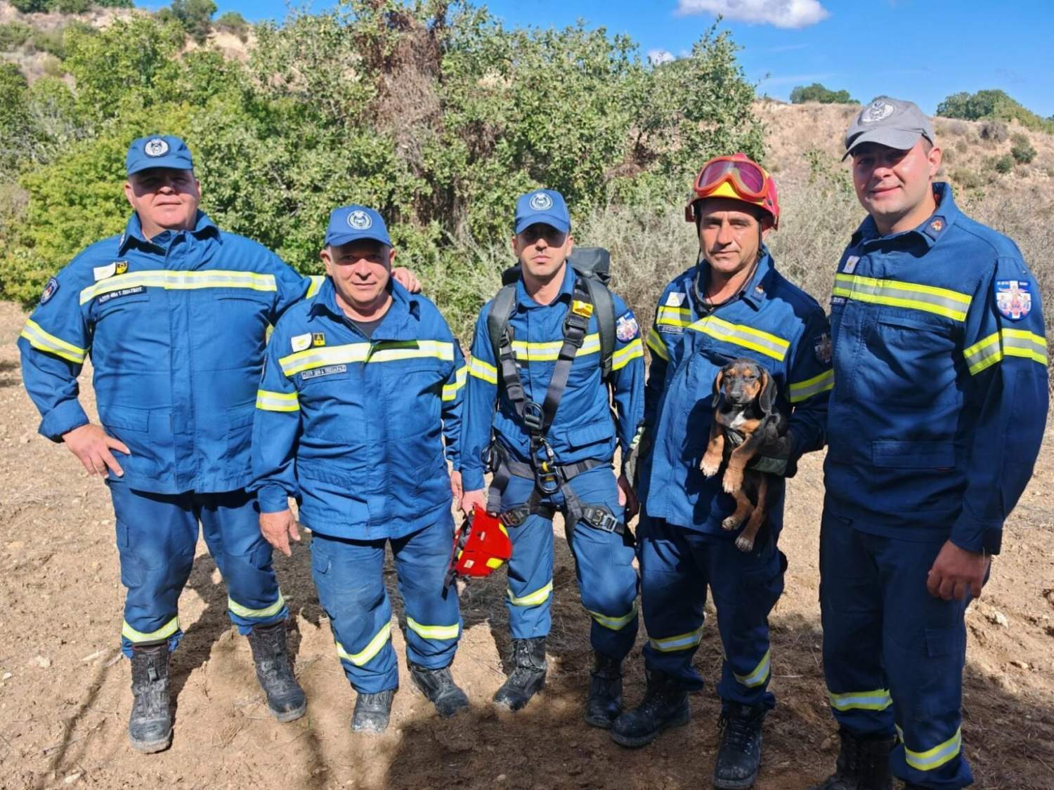 Firefighters Rescue Dogs From Paphos Gorge And Larnaca Pit