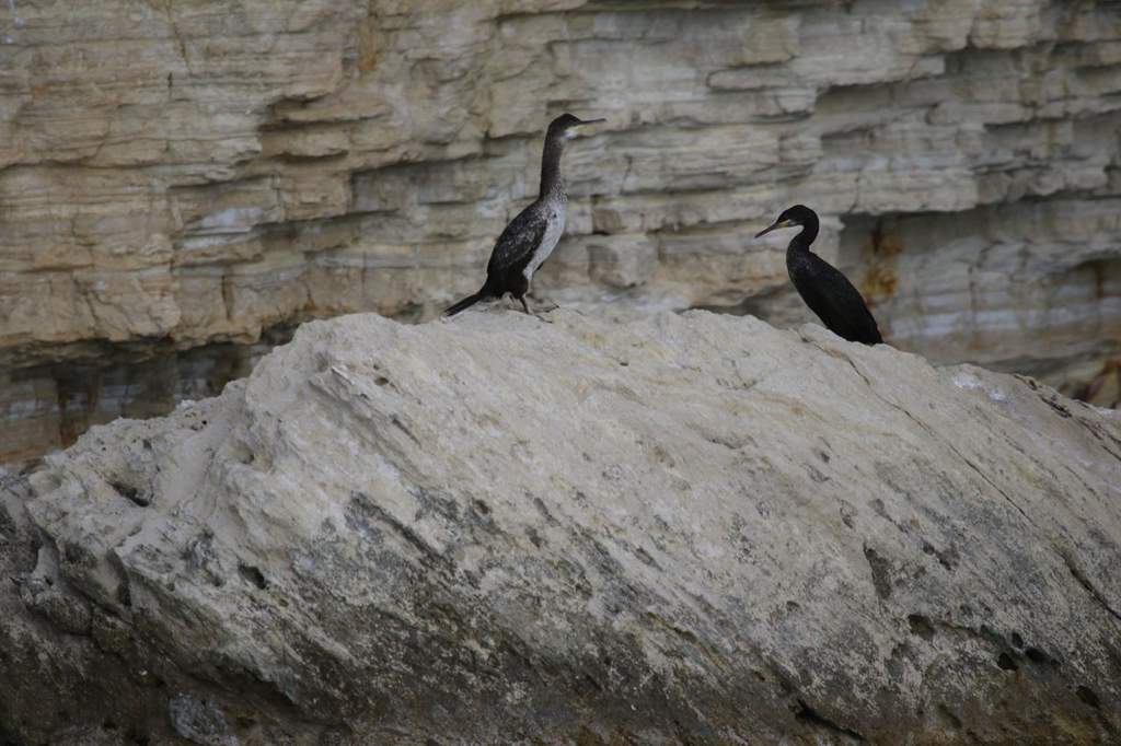 Photo 2026 10 12 12 04 55