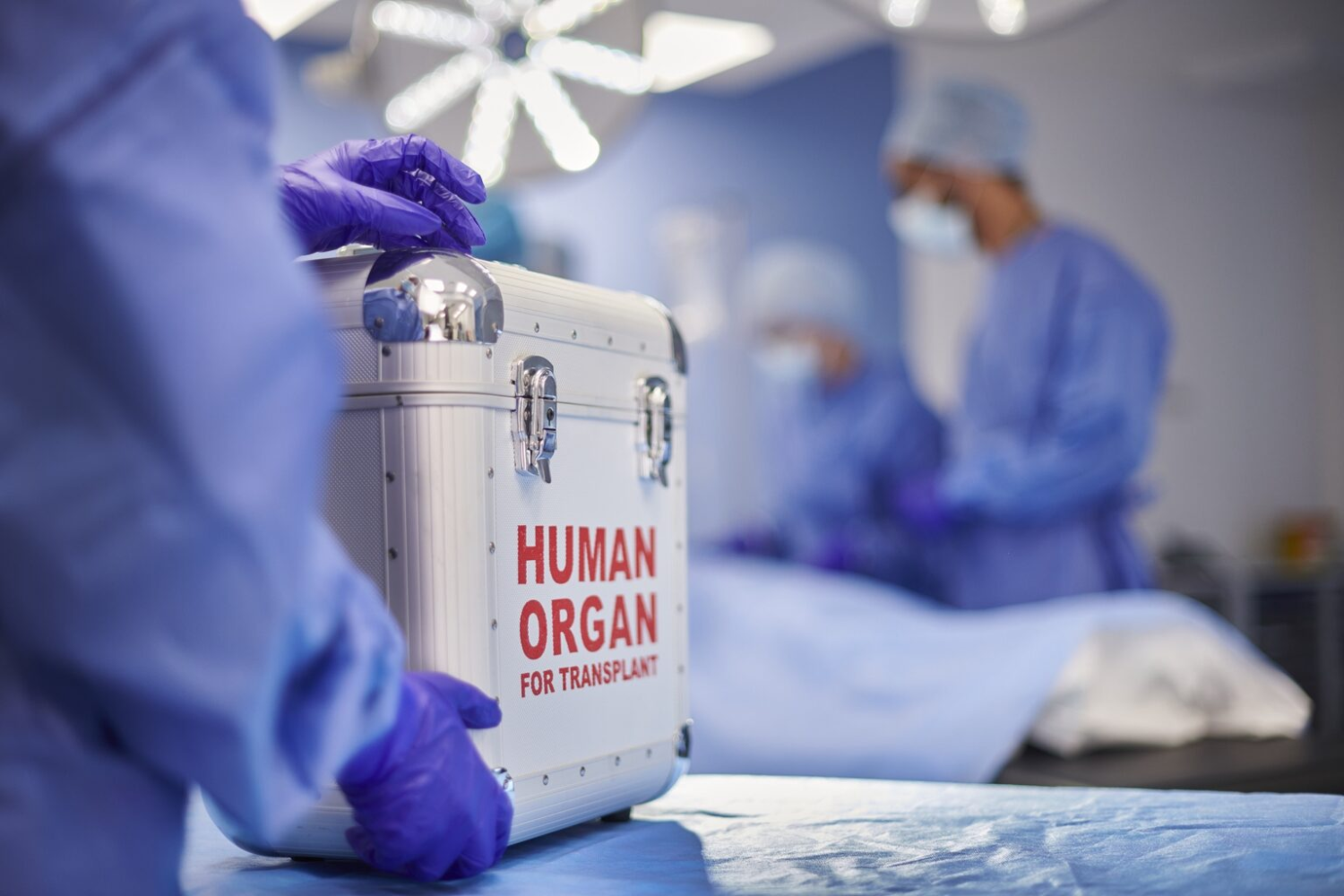 Human Organ 1536x1024