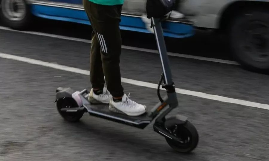 Patinia